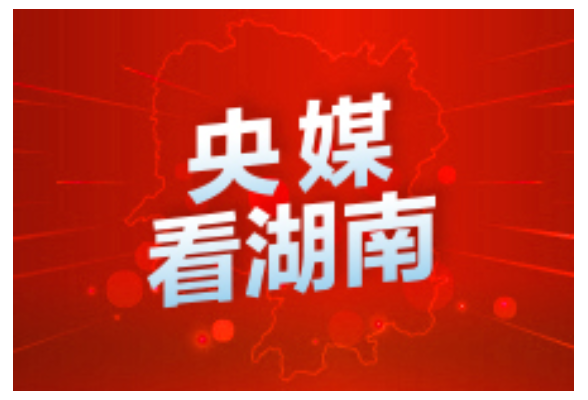 央视网丨湖南祁东：把冬季“闲田”做成增产增效增收“富裕田”