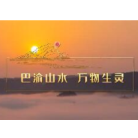 我们的共同家园｜巴渝山水 万物生灵