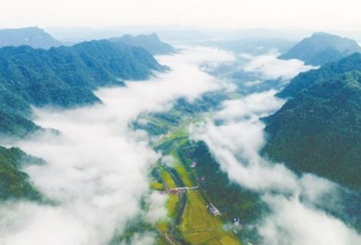 奋斗百年路 启航新征程丨村级样本30例之永定区马头溪村