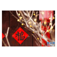 腊梅报春