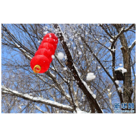 乌鲁木齐：红山雪霁
