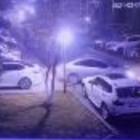油门当刹车踩！湖北石首一司机5秒连撞6车
