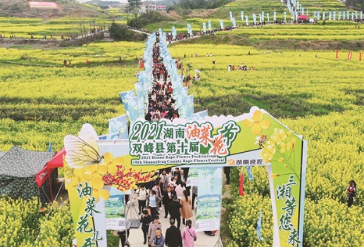 2021湖南油菜花节开幕 “十大最美油菜花乡村旅游点”公布