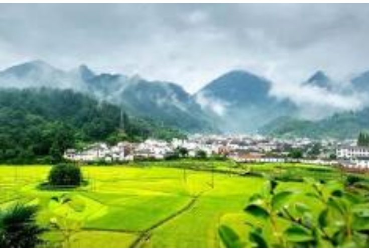 中国现行扶贫标准低于世界标准？国家乡村振兴局这样回应