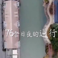 武汉解封一周年| 赏樱花、吃热干面 共赴春天的约定