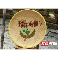 尝百粽、承习俗、五谷画 乌镇传统端午情意浓