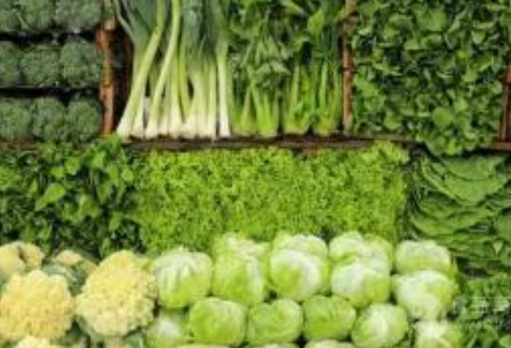 前5月湖南向港澳地区出口蔬菜增长104.6%