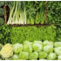 前5月湖南向港澳地区出口蔬菜增长104.6%