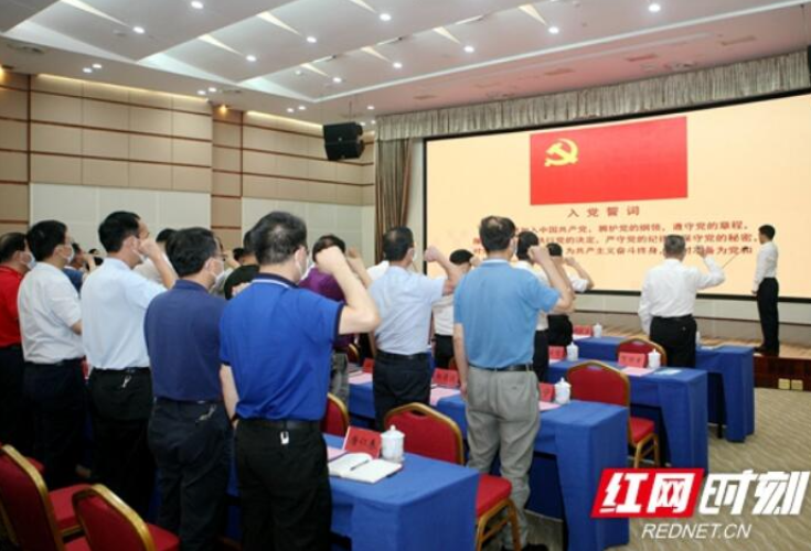 湖南省政府办公厅颁发“光荣在党50年”纪念章 表彰“两优一先”