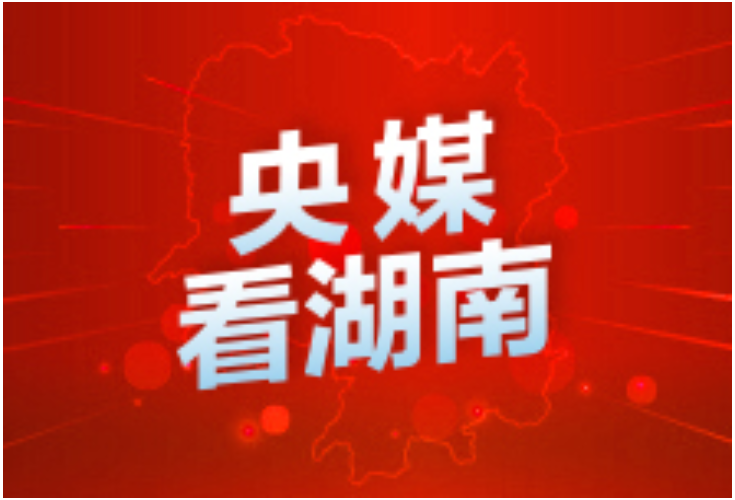 人民日报丨湖南：旗帜鲜明讲政治 不折不扣抓落实