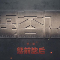 电视专题片《零容忍》第三集《惩前毖后》