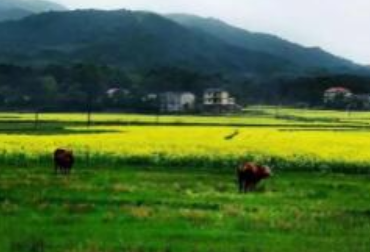 湖南2021年省级美丽乡村示范村和特色精品乡村出炉，有没有你的家乡？