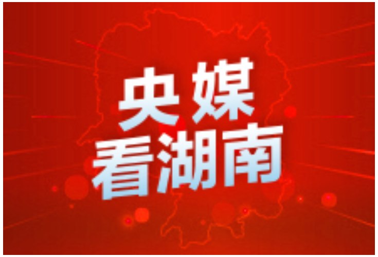 人民日报丨湖南桃源：守好子孙田 稳住基本盘