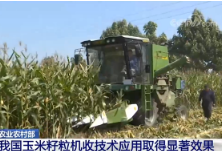 农业农村部：我国玉米籽粒机收技术应用取得显著效果