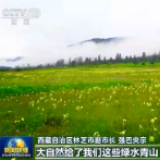 走向我们的小康生活丨保护良好生态 铺就幸福小康路