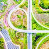 小柑橘带动大产业 ——四川省仪陇县潮水坝村的脱贫之路