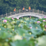 守好绿水青山 换来金山银山——福建三明市践行“两山论”样本观察