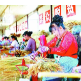 打工看病不出村——黑龙江省明水县兴发村的脱贫之路