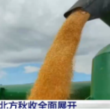 北方各粮食主产区积极组织抢收快收 确保粮食颗粒归仓