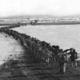气壮山河的凯歌 永载史册的丰碑——写在中国人民志愿军抗美援朝出国作战70周年之际