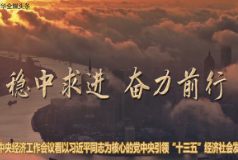 稳中求进 奋力前行——从中央经济工作会议看以习近平同志为核心的党中央引领“十三五”经济社会发展