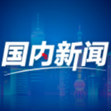 山东蒙阴:“树上”的风景