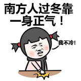 南难南难难 南方人冬天到底有多难？网友：被窝以外都是远方