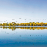 久久为功，绿色发展创美好未来