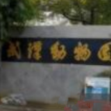 武汉动物园将暂别市民，明年元旦起闭园改造两年