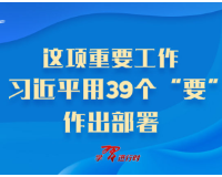 这项重要工作，习近平用39个“要”作出部署