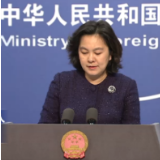 外交部回应“美国病亡人数将超30万”:感同身受,愿提供帮助