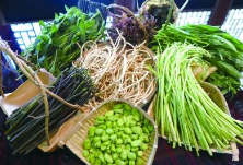 野菜抢鲜上市，“春天的味道”卖得俏