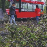 暴雨、冰雹齐上场,长沙未来一周大概率维持连续降雨过程