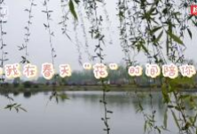 视频丨除了橘子洲头、月亮岛，长沙还有一个“世外桃源”甄皮洲！