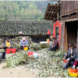 浙江谋划早、举措实 产业协同复工 工人干劲十足（积极有序推进复工复产）
