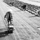 脱贫攻坚战全面收官，还要啃下哪些“硬骨头”