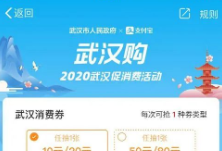 武汉投放5亿元消费券！