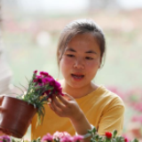 商务部:一季度电商直播超400万场