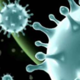 湖北新冠肺炎危重症患者清零！重症仅余一例