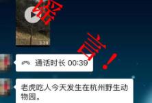 网传杭州野生动物世界老虎吃人？这是谣言！