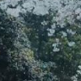 铭记致敬，负重前行