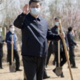 第一观察丨这些年，习近平种了哪些树