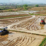 组图丨清明农事忙