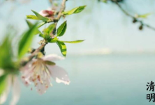 春风十里寄思念