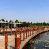 明年5月,来圭塘河畔逛滨水公园