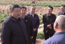 独家视频丨习近平：黄花菜大产业 人民致富好门路