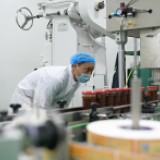 总书记和我话扶贫：敢向荒漠要绿色、要效益