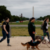 美对世卫组织挥舞霸凌大棒砸的是自己