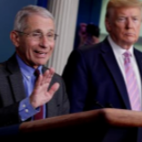 美媒揭“美式抗疫”:州数据造假、专家成“摆设”