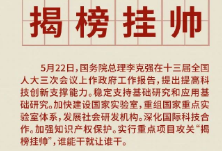 “揭榜挂帅”：用市场“赛马”和竞争机制实现创新价值最大化